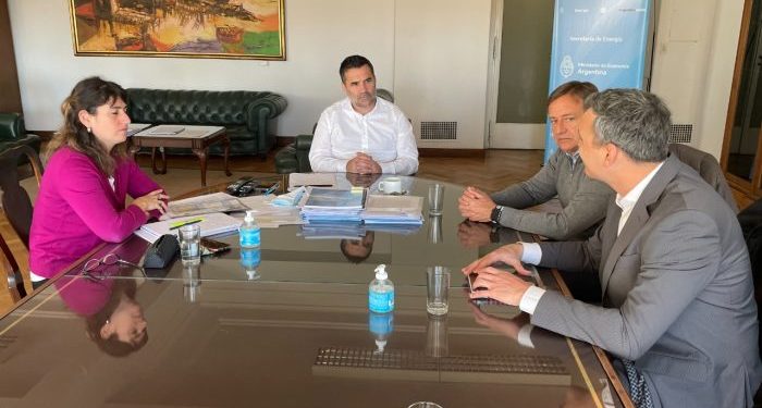Suarez se reunió con el secretario de Energía para avanzar en proyectos de recursos renovables para Mendoza