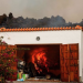 «¿Y si yo quiero recuperar mi casa de la lava?»