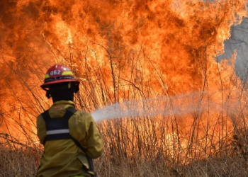 Cinco provincias registran incendios forestales activos