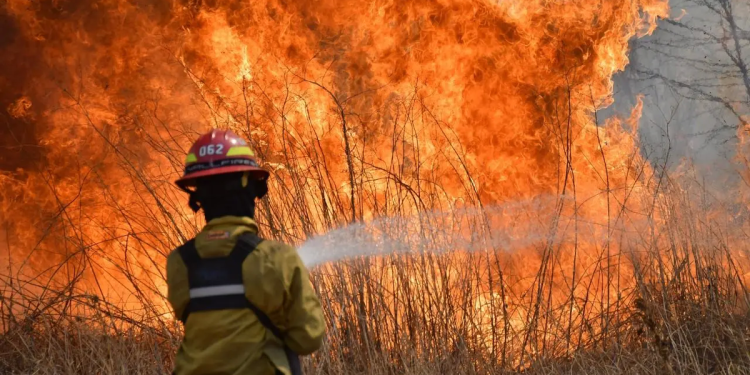 Cinco provincias registran incendios forestales activos