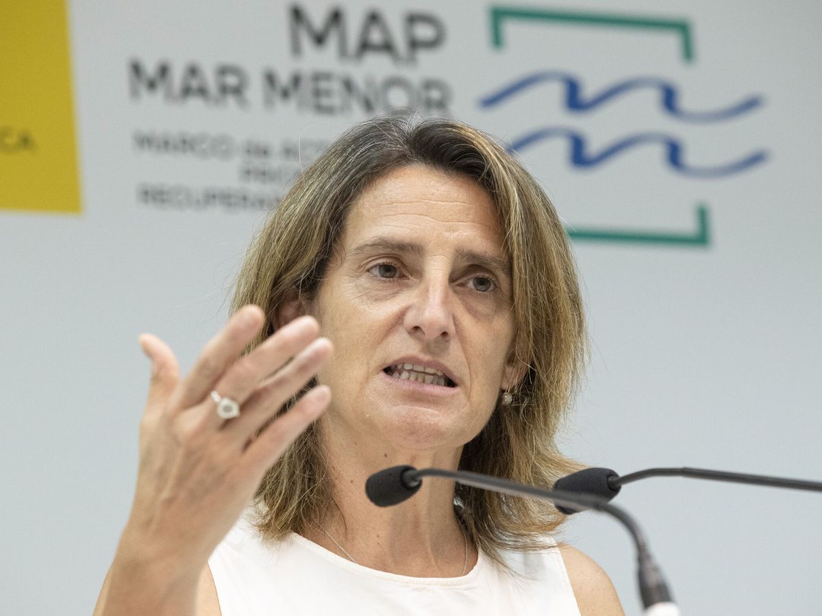 Foto: La vicepresidenta tercera del Gobierno y ministra para la Transición Ecológica, Teresa Ribera. (EFE/ Marcial Guillén)