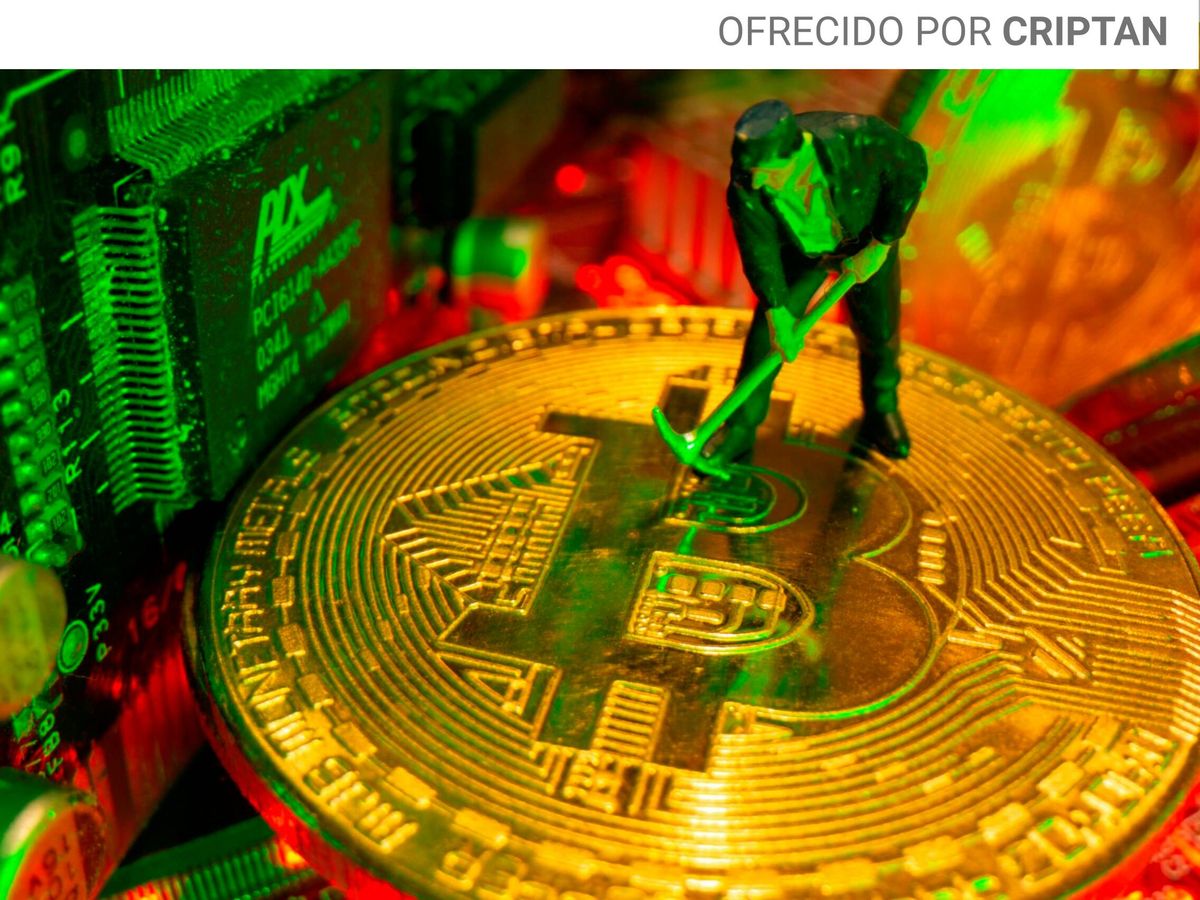 Foto: Hecatombe en las monedas digitales. Foto: Reuters.