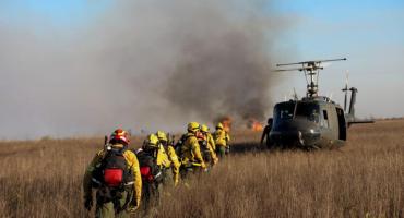 Incendios en el Delta: denunciarán a los dueños de los predios donde se inició el fuego