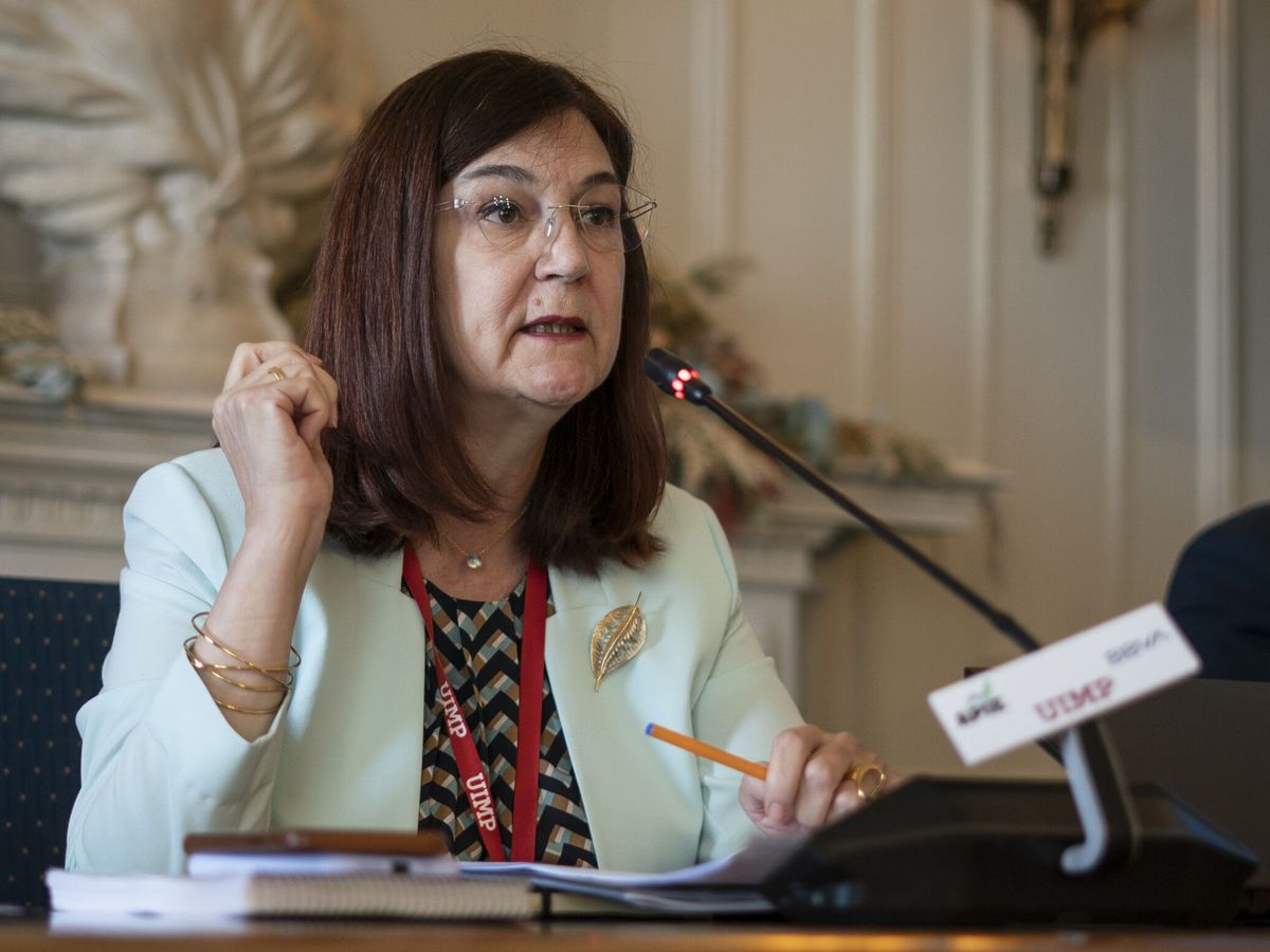 Foto: La presidenta de la CNMC, Cani Fernández. (EFE/Román G. Aguilera)