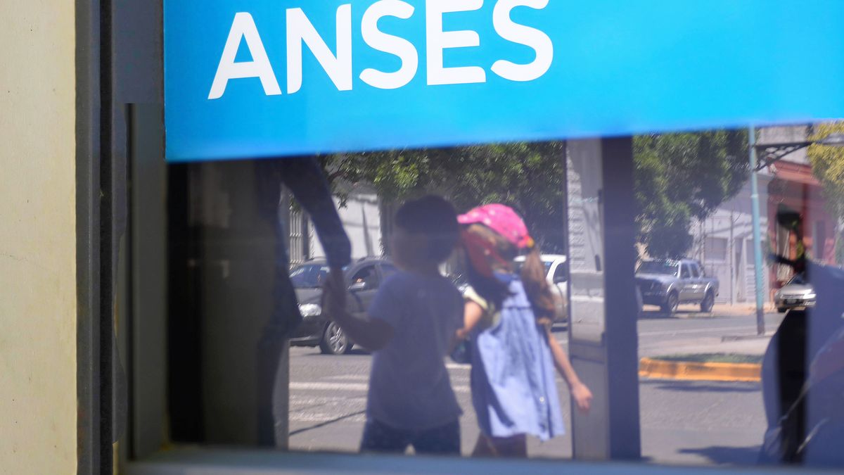ANSES deposita SUAF, AUH y AUE: consultá cuándo cobrás