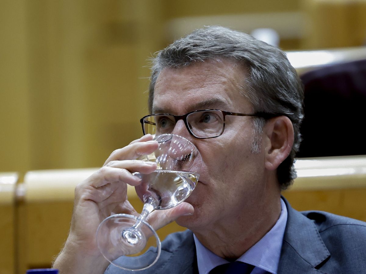 Foto: Feijóo, en el Senado. (EFE/Juanjo Martín)