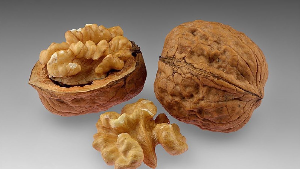 Cerebro: 7 alimentos que lo fortalecen