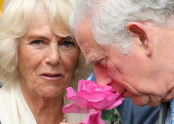 El “tampón gate” de Carlos y Camila: los seis minutos de llamada que horrorizaron a Lady Di