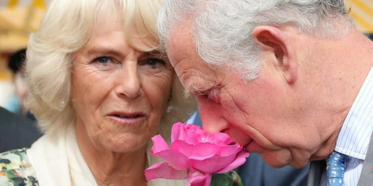 El “tampón gate” de Carlos y Camila: los seis minutos de llamada que horrorizaron a Lady Di