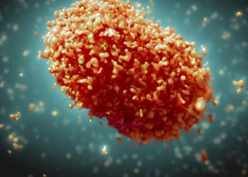 Viruela del mono: la OMS aseguró que “con voluntad política” se puede detener