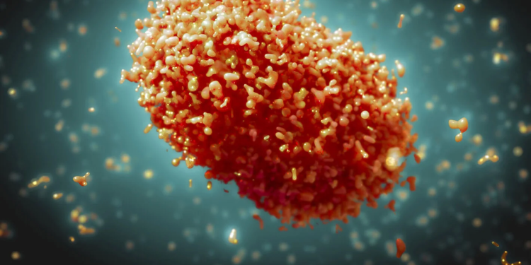 Viruela del mono: la OMS aseguró que “con voluntad política” se puede detener