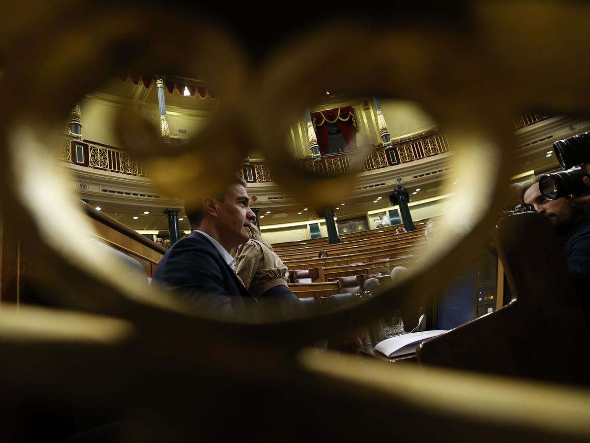Foto: El presidente del Gobierno, Pedro Sánchez. (EFE/Javier Lizón)