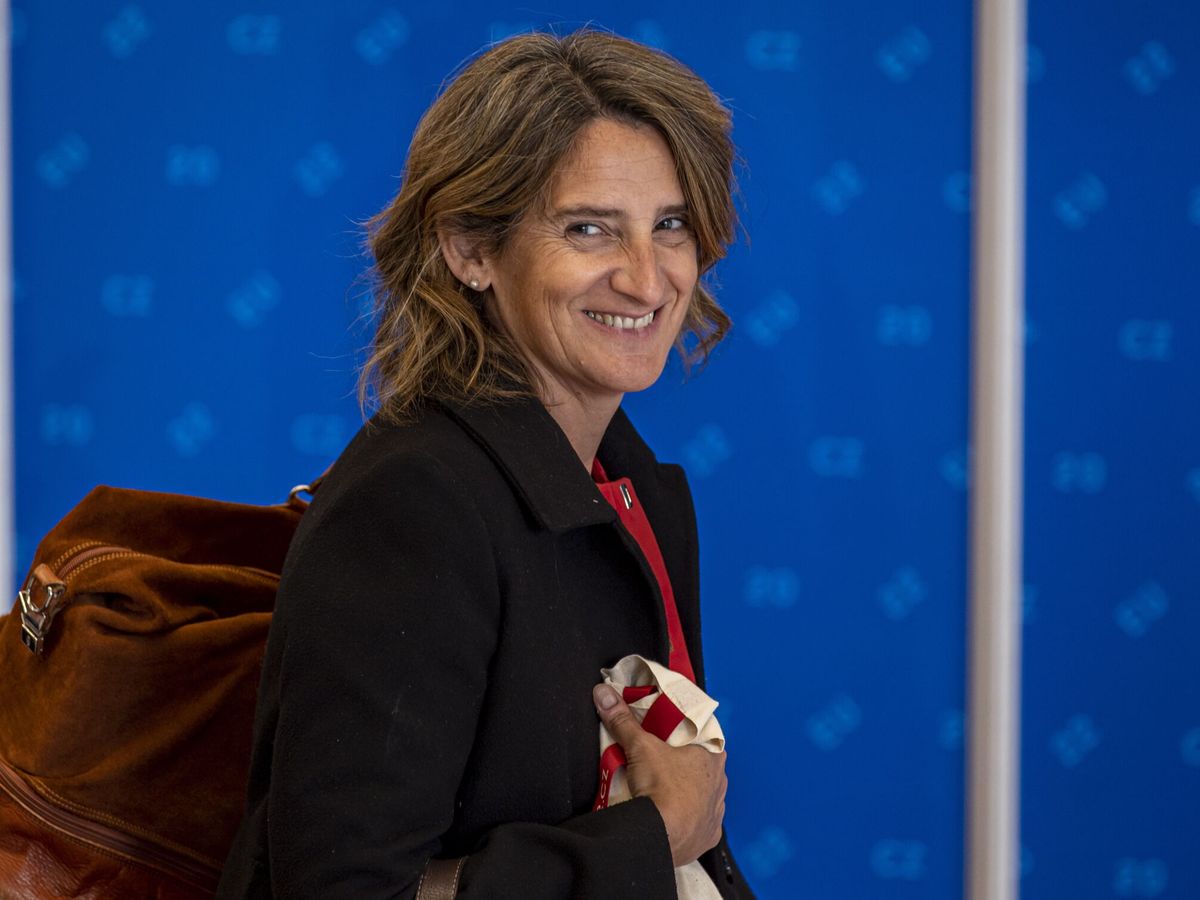 Foto: La ministra de Transición Ecológica, Teresa Ribera. (EFE/Martin Divisek)