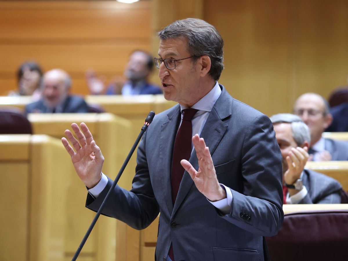 Foto: El líder del PP, Alberto Núñez Feijóo. (EFE/Kiko Huesca)