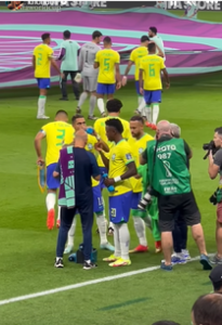Seleção Brasileira - Arquibancada
