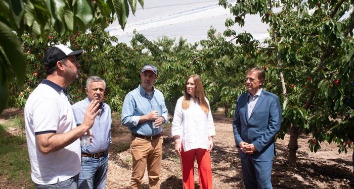 Junto a Cornejo y Vidal, Suarez bancó la RTO, lamentó las heladas y se desentendió del reclamo policial
