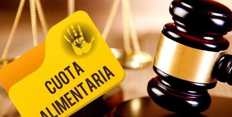 La Cámara de Diputados aprobó la creación del Registro Nacional de Deudores Alimentarios Morosos