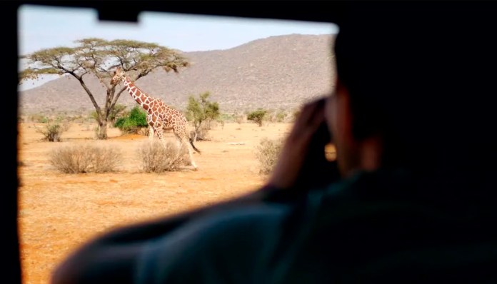 Los safaris en Kenia son apasionante y llenos de acción