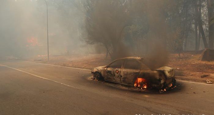 Estado de catástrofe en centro y sur de Chile por incendios forestales