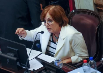 La senadora Alejandra Vigo, quien rompió con el FdT, aseguró que Alberto Fernández “no tiene ninguna chance de ser reelecto”