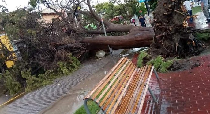 Tras la tormenta de granizo en San Martín, el intendente Rufeil dijo que nunca llegó la ayuda de la Nación