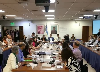 Sintomático: actividad menguante en Diputados y casi nula en el Senado