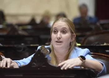 Tarjetas: la Cámara de Diputados debatirá esta semana la situación de las estaciones de servicio