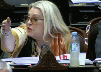 Carrió habló de su estado de salud y reveló que deberá hacer “reposo absoluto algunos meses”