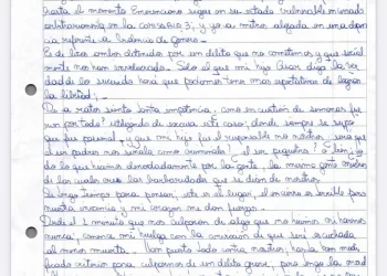 Caso Cecilia Strzyzowski: se conocieron nuevas cartas de Marcela Acuña apuntando (otra vez) a su hijo