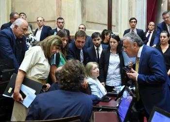 El Senado y Diputados realizaron solamente cinco sesiones para aprobar proyectos en el primer semestre