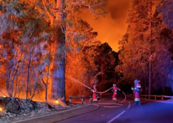 El incendio de Tenerife generó «un tsunami de fuego imparable» con llamas de 50 metros>