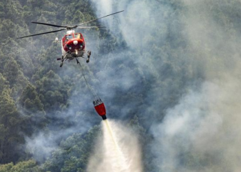 El incendio en Tenerife ha sido provocado>