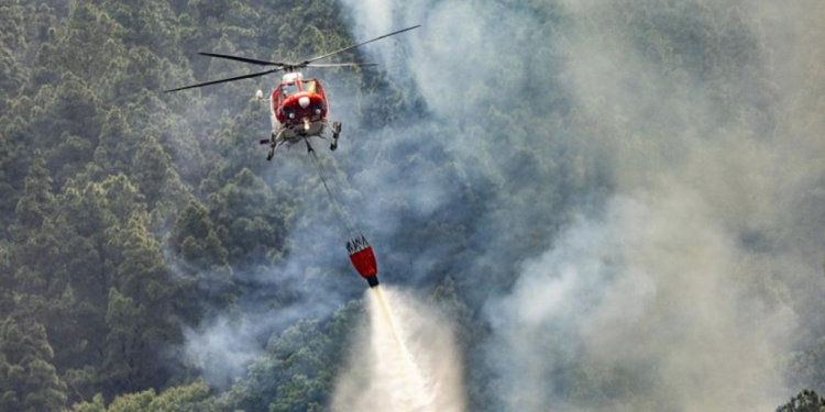 El incendio en Tenerife ha sido provocado>