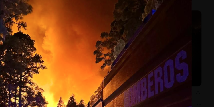 El incendio en Tenerife sigue sin control y deja ya 26.000 evacuados y más de 8.400 hectáreas arrasadas>