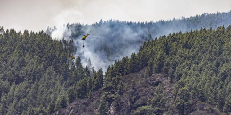 El perímetro del incendio en Tenerife, consolidado pero humeante y con puntos calientes>