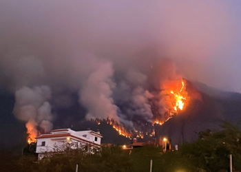 Tenerife se enfrenta a un incendio imparable, el peor de los últimos 40 años>