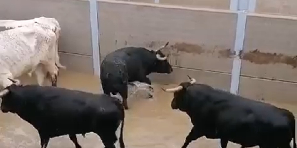 El Gobierno de Castilla-La Mancha recomienda evitar desplazamientos por la DANA>