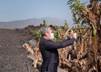 La reconstrucción en La Palma, «mucho photocall» y «poca gestión»>