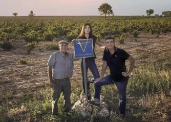 Bodegas y Viñedos Volver logra la certificación ‘Sustainable Wineries for Climate Protection’>