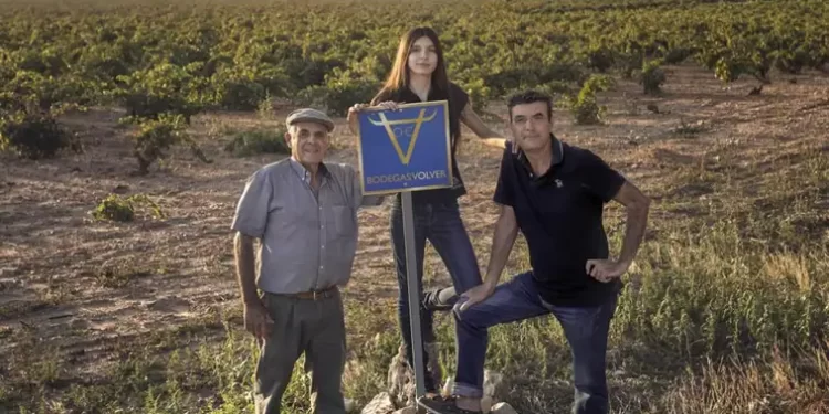 Bodegas y Viñedos Volver logra la certificación ‘Sustainable Wineries for Climate Protection’>