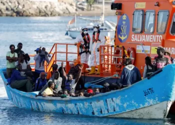 Canarias recibe a 14 pateras con 908 personas a bordo>