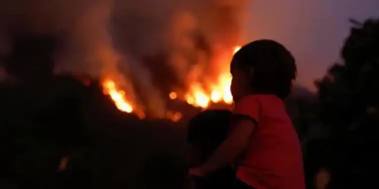 El incendio forestal en Tenerife vuelve a nivel 2>