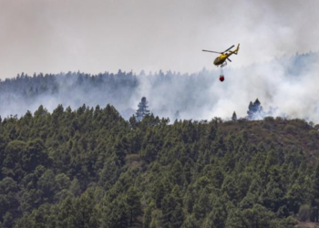 Nuevas reactivaciones en zonas de difícil acceso en el incendio de Tenerife>
