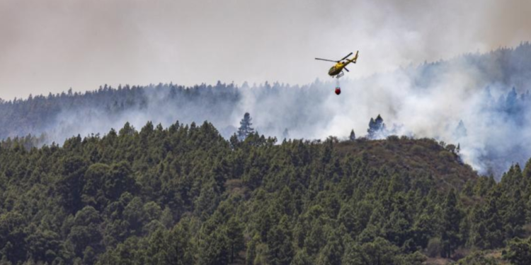 Nuevas reactivaciones en zonas de difícil acceso en el incendio de Tenerife>