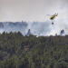 Nuevas reactivaciones en zonas de difícil acceso en el incendio de Tenerife>