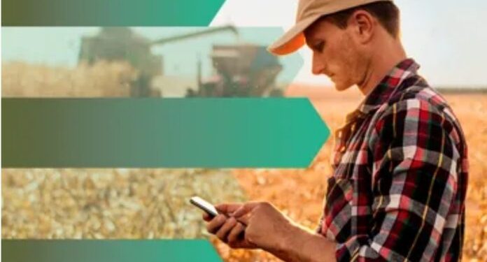 Soja: Brasil cosechará 4.4 millones de toneladas menos