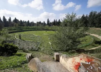 El bosque atómico oculto en Alcalá de Henares: historia de un experimento fallido>