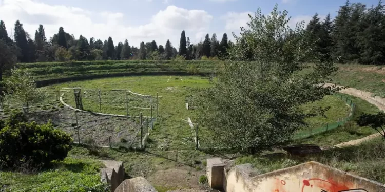 El bosque atómico oculto en Alcalá de Henares: historia de un experimento fallido>