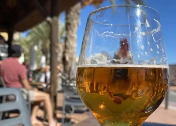 El giro de guion en una reunión familiar digno de ‘Solo en casa’: «Lamentable espectáculo»>