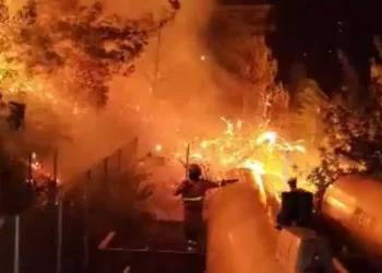 Incendio Valencia: el fuego sin control por la borrasca Ciarán calcina 2.000 hectáreas y suma 850 evacuados>